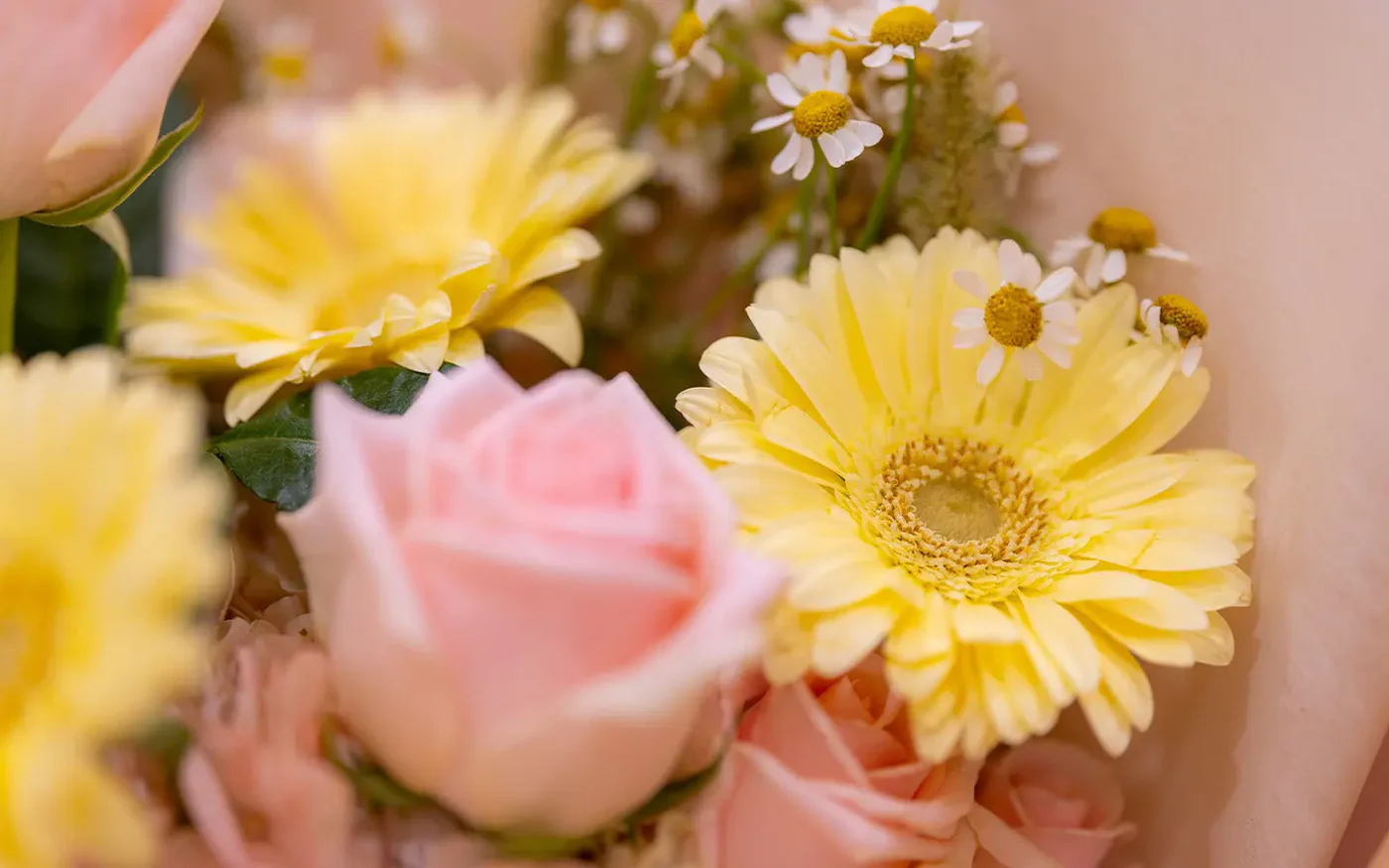 Fresh Blooms Delivered Across Canada